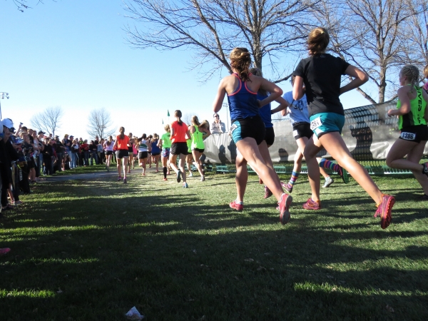 North Wales Cross Country Championships Update