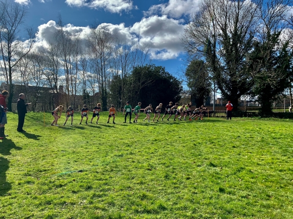 North Wales Cross Country Report