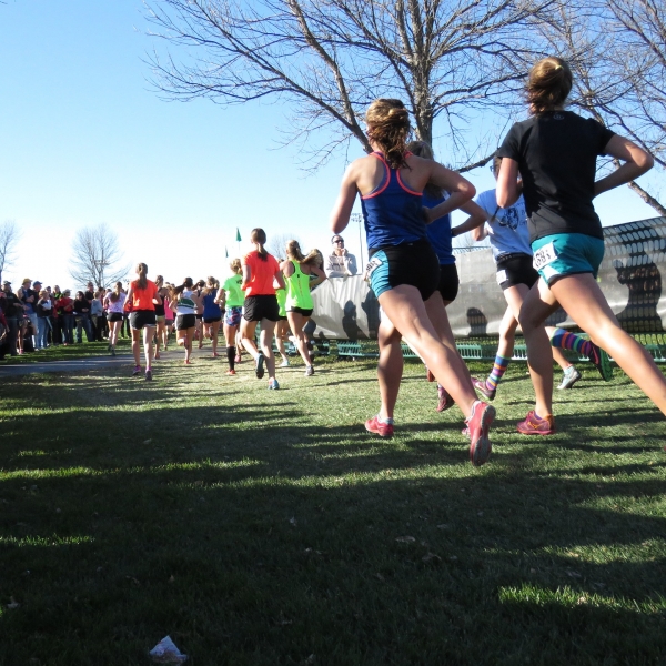 North Wales Cross Country Championships Update