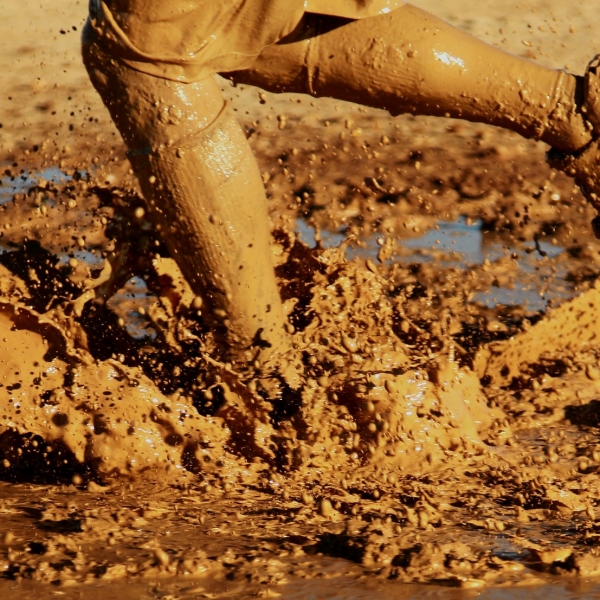 Senior Cross Country at Oswestry