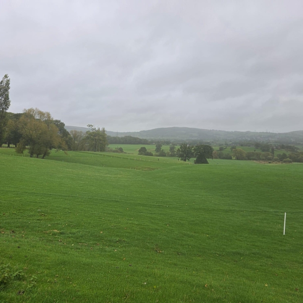Upcoming Cross Country League 2026/27 Information